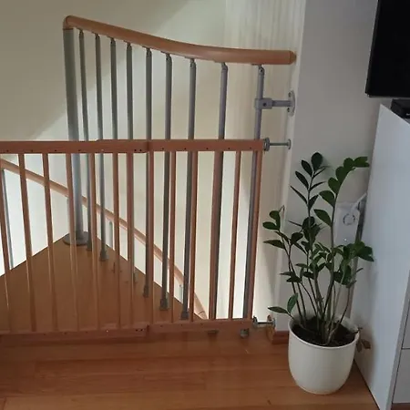Apartament Tammy Zadar